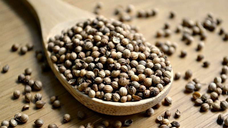 گشنیز